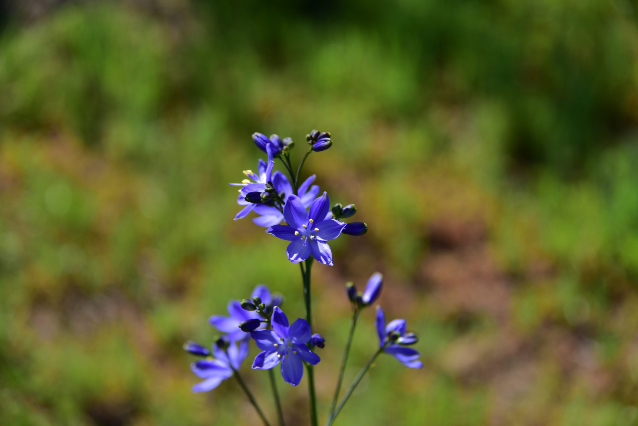 AAD_1439